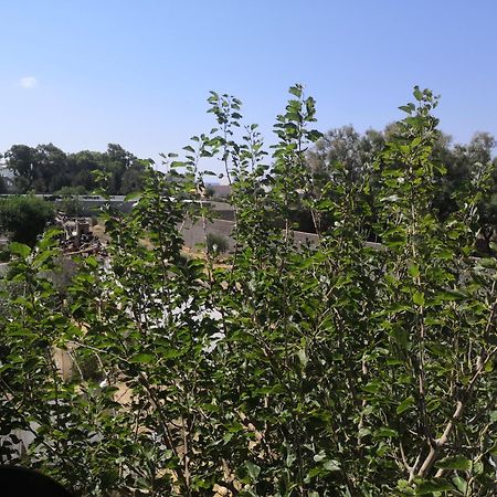 L'Hirondelle De Kelibia : Chez Amou Hotel Bilik gambar