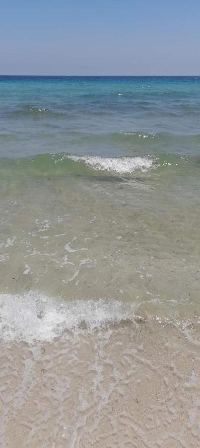L'Hirondelle De Kelibia : Chez Amou Hotel Luaran gambar