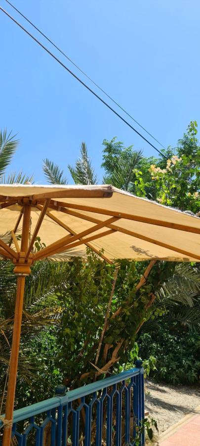 L'Hirondelle De Kelibia : Chez Amou Hotel Luaran gambar