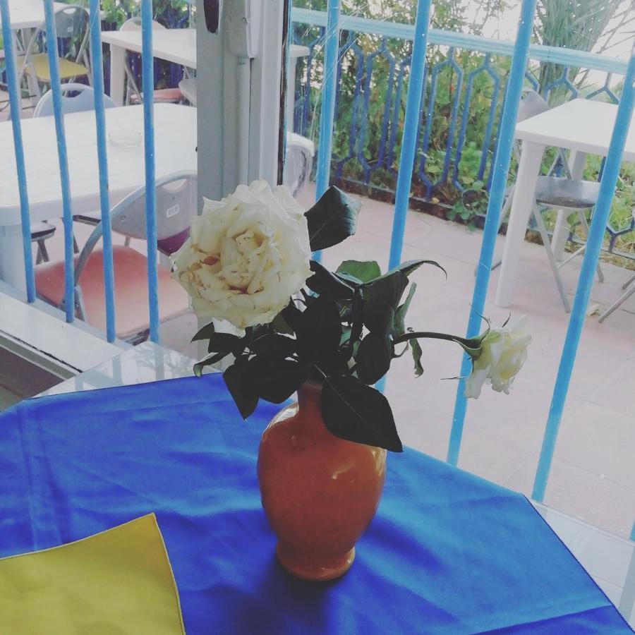 L'Hirondelle De Kelibia : Chez Amou Hotel Luaran gambar