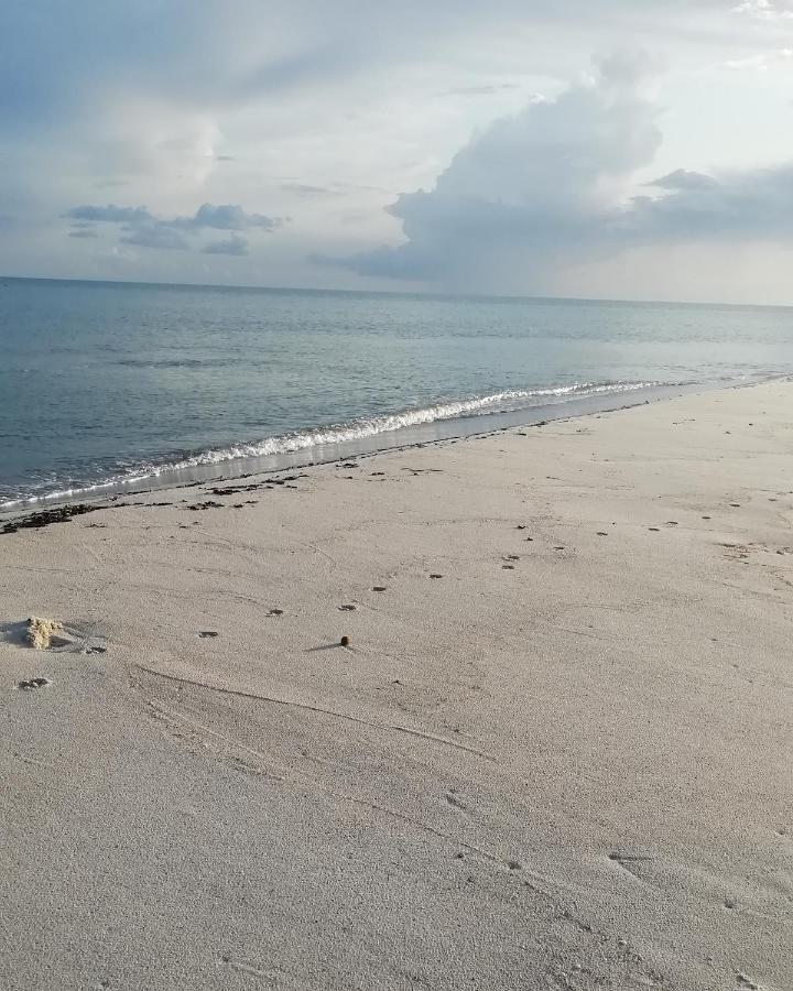 L'Hirondelle De Kelibia : Chez Amou Hotel Luaran gambar